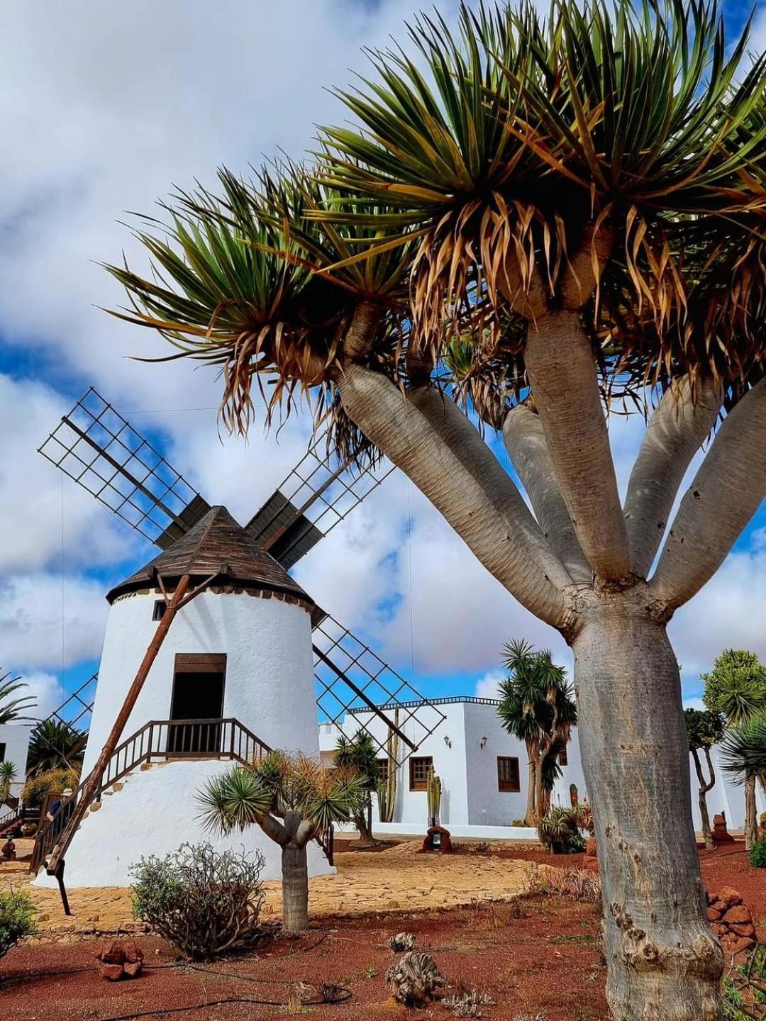 Casa Del Mar Air-Conditioned Apartment With Swimming Pools - Corralejo Playa Экстерьер фото
